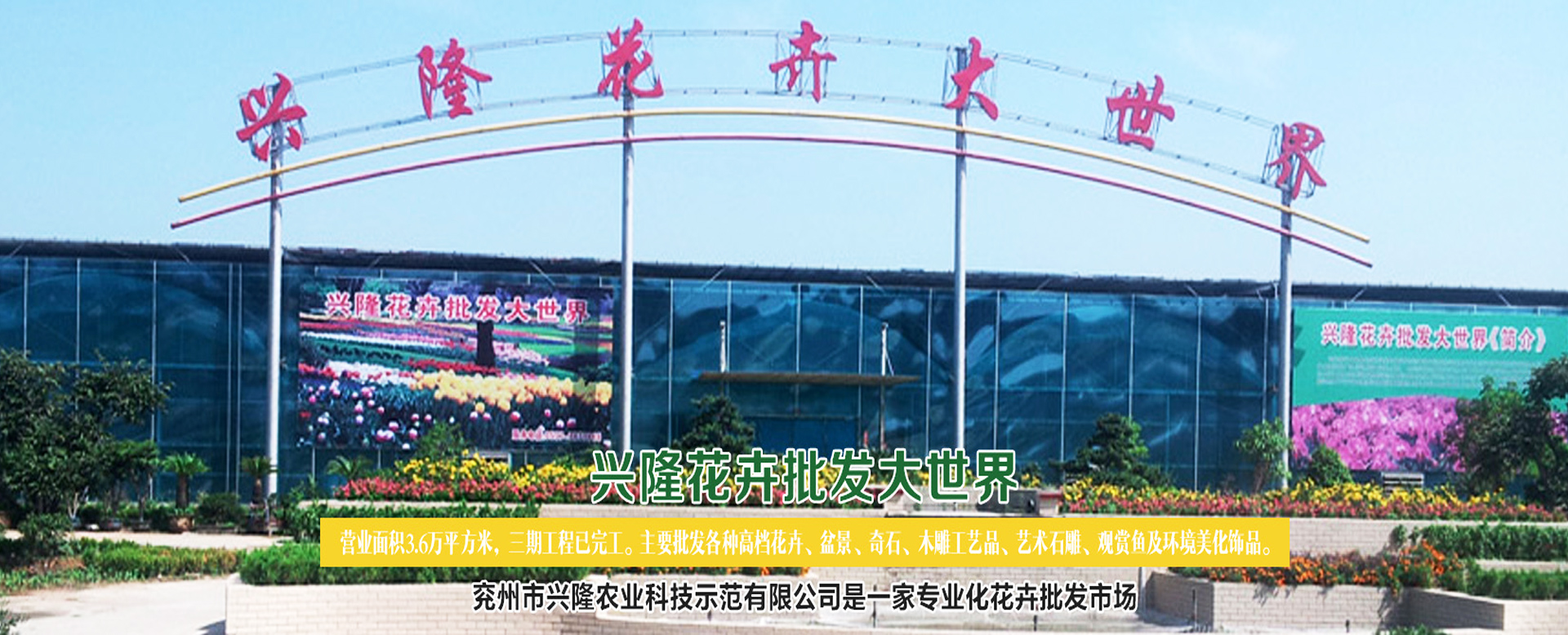 山东晟诚医用设备有限公司