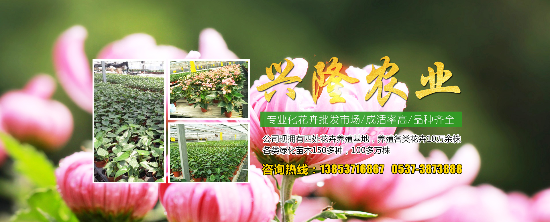 山东晟诚医用设备有限公司